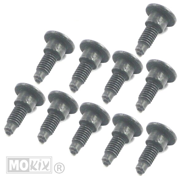 Borstschroef M6x21 (8x5) Zwart (10)