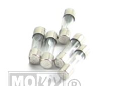 Zekeringen Glas  5ampere 25mm (5)