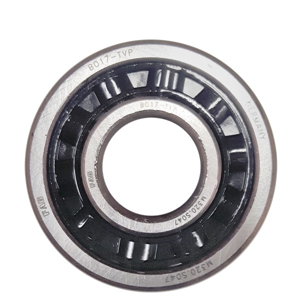 Lager Special B017 17-44-11 PVC Kooi (1) - FAG