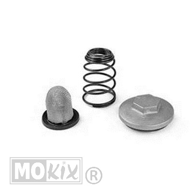 93240 OLIEFILTERSET CHINA GY6/SYM MIO/PEUGEOT 4T