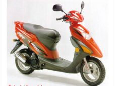 Buddy DEK Honda SFX Carbon/Zwart Xtreme