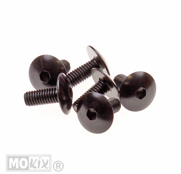 Plaatwerk Schroef M6x15 Inbus ALU Zwart (6)