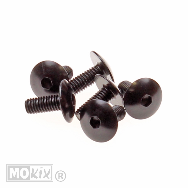 Plaatwerk Schroef M6x15 Inbus ALU Zwart (6)