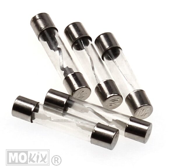 Sicherungen Glas 10 Ampere 30.0 mm (5)