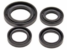 Keerringset Peugeot Horz LUDIX/SPF3 4 Stuks SP