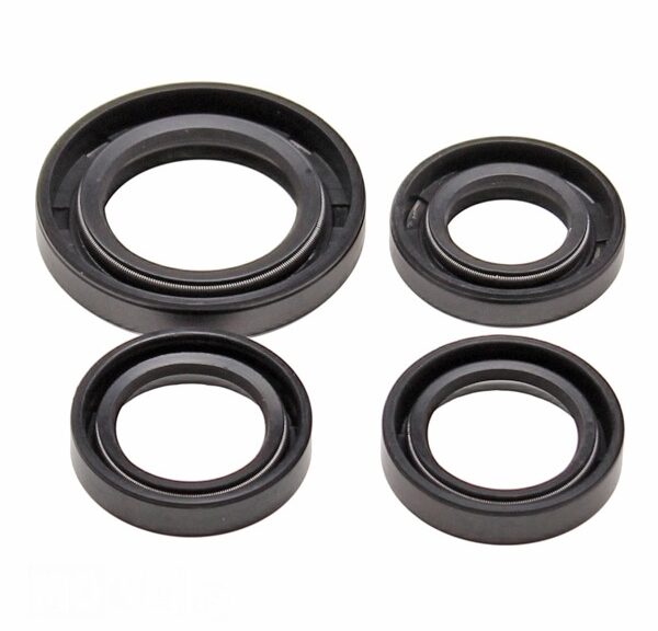 Keerringset Peugeot Horz LUDIX/SPF3 4 Stuks SP