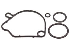 Pakking SET Carburateur Honda Wallaroo SP