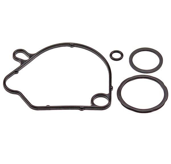 Pakking SET Carburateur Honda Wallaroo SP