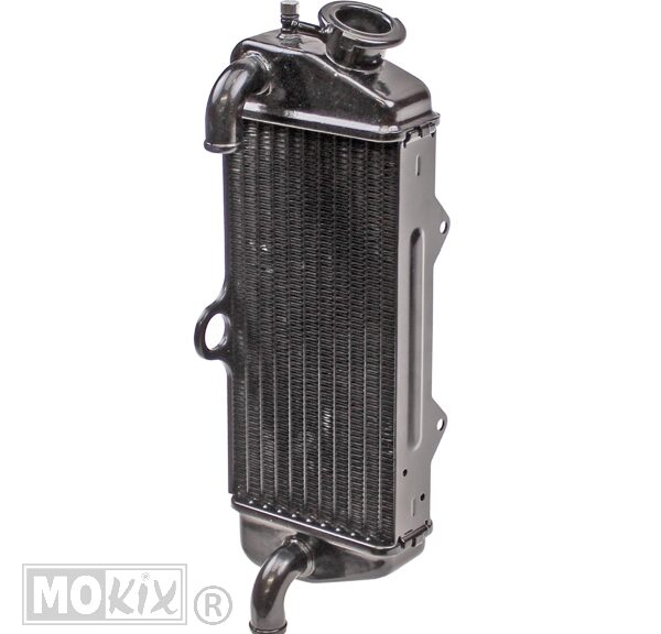 Radiateur Beta RR50 >2005 Supertec