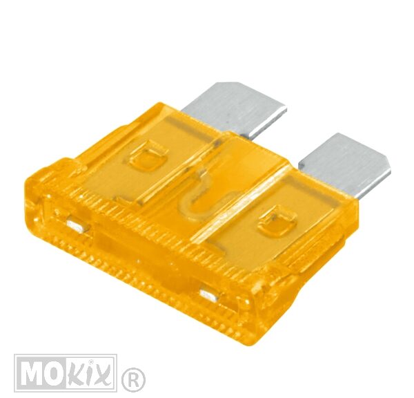 Zekeringen Steek STD 19.1x5.1   5 Ampere (1)