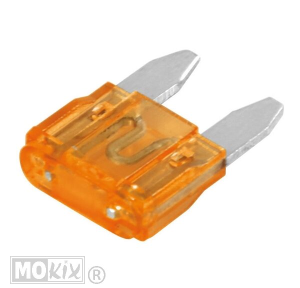 Zekeringen Steek Mini 10.9 X 3.8    5 AMP (1)
