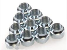 Asconen Puch Maxi Leuleu 11.0mm (10)