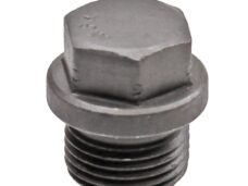 Schroef IPV Lambda Sonde Voor ZIP 4T 4V - Silex