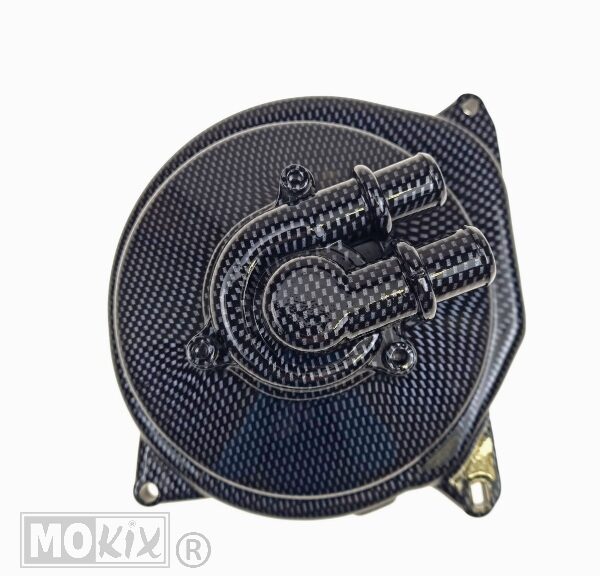 Waterpomp Minarelli Horizontaal Compleet Carbon