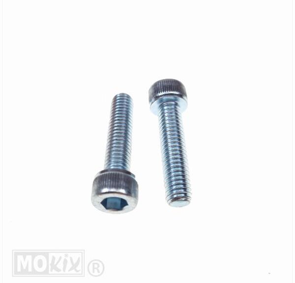 Carterdeksel Boutset Minarelli Horz/Vert Verzinkt
