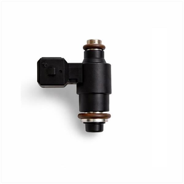 Injector AGM VX Delphi EFI e4/e5 Elec