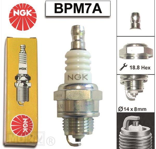Bougie NGK BPM7A Solex (1)