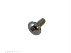 Schroefset M6x16 Hexagon Zilver (5) - Bollard