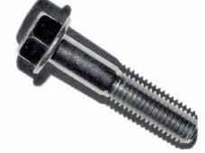 SYM Fiddle 2 FL. Bolt 8x40 M10