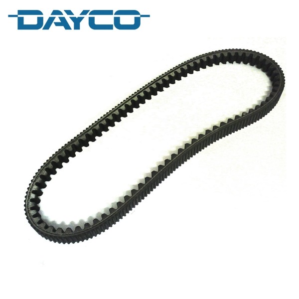 V-Snaar Dayco 22.6x 954 Piaggio Beverly 250cc 4T
