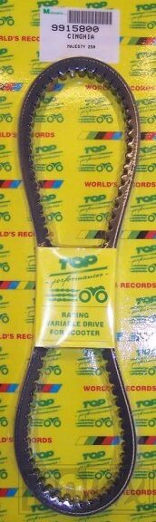 V-Snaar Aprilia Leonardo 250 854x22.7x28 Bando TP