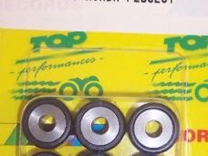 Rollenset (6) 16x13 10.2gr TP - Top Performances