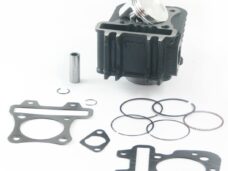 Cilinder Piaggio 4T 2V 49.0mm TP - Top Performances
