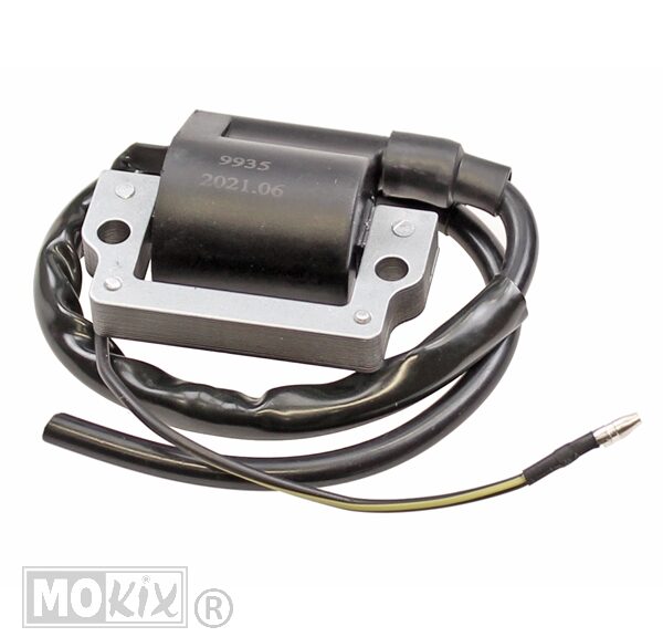 Bobine Yamaha DT/FS1 6V Elec