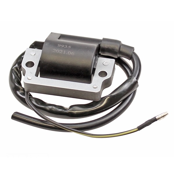 Bobine Yamaha DT/FS1 6V Elec