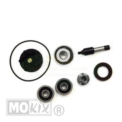 Waterpomp-Revisie SET Piaggio 250/300 TP - Top Performances