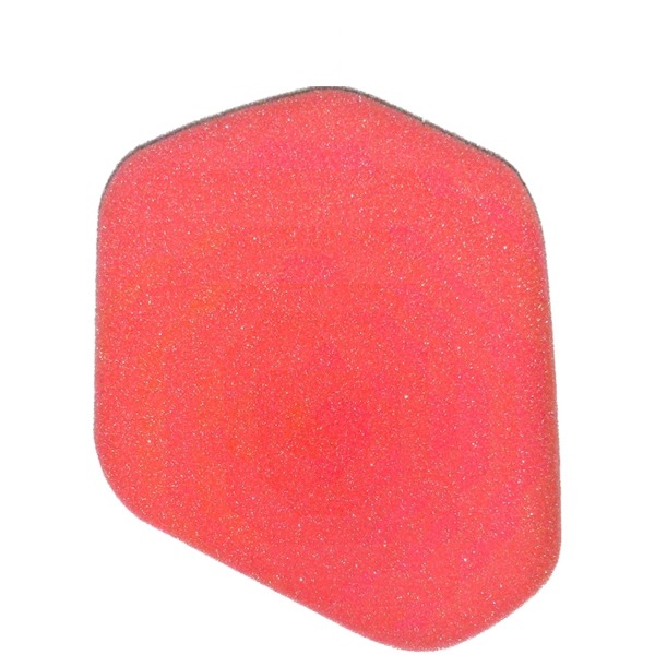 Filterfoam Honda NSR 50 PRO S.RED - Artein