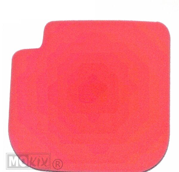 Filterfoam Derbi GPR 50 PRO S.RED - Artein