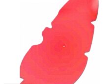 Filterfoam Hyosung SF 50 PRO S.RED - Artein