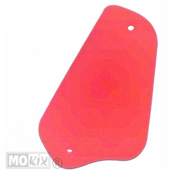 Filterfoam Rieju RS1/RS2 PRO S.RED - Artein