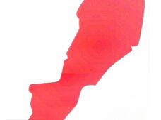 Filterfoam Piaggio Quartz PRO S.RED - Artein