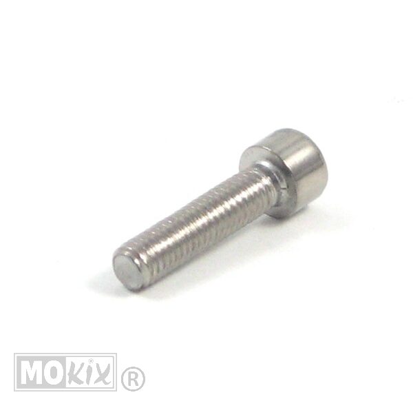 Schroef 6 X 25MM Roestvrij Staal - Generic