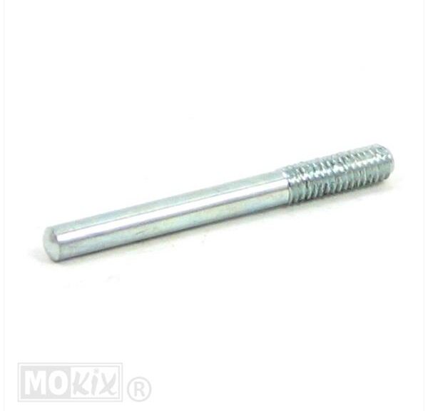 Drukpen Rempomp Achter Rieju MRT 2006 (M6x60)