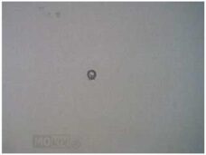 Sluitring 6 RS1             2000 - Rieju