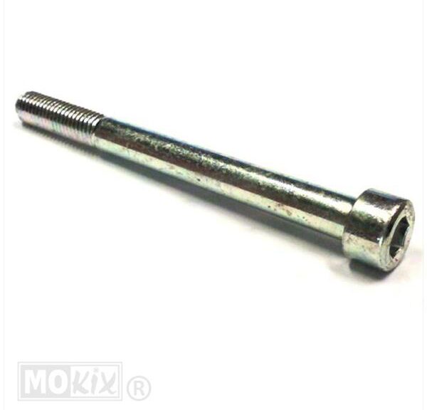 Inbusbout M10x110 Rieju