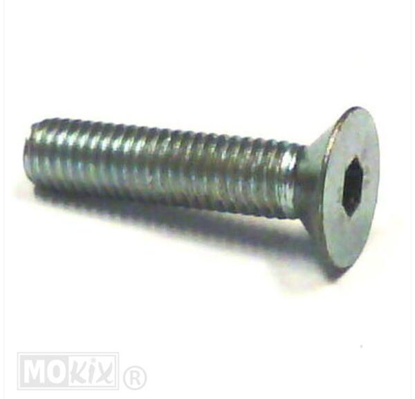 Verzonken Bout M8x35 Rieju