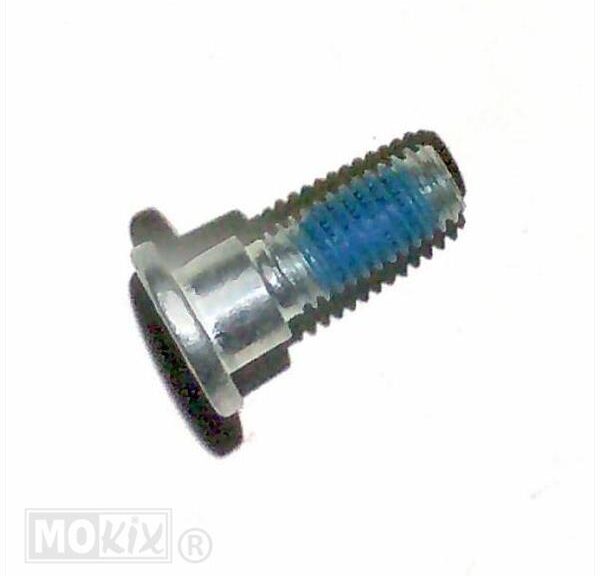 Inbusbout Achterrem Disc MRT 06 - Rieju