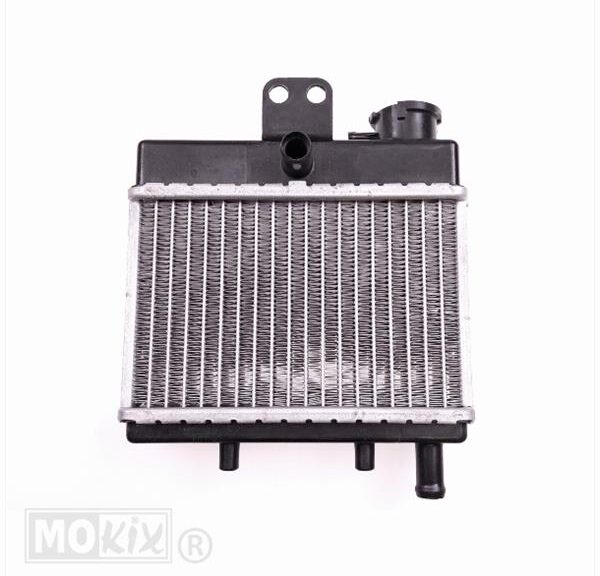 Radiateur Rieju RS3 ORG