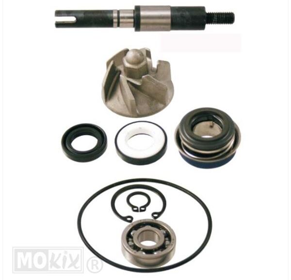 Waterpomp-Revisie SET Honda SH 125cc SP