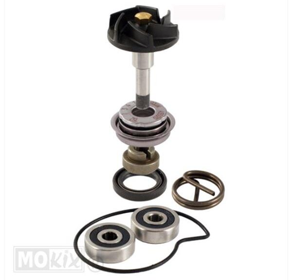 Waterpomp-Revisie SET Piaggio Beverly '06 250 RMS