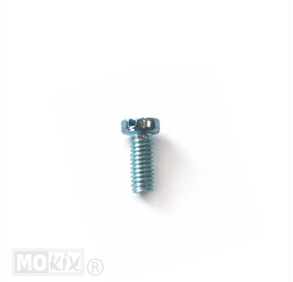 Metaalschroef M4x10 Elvz 10stuks - Bollard