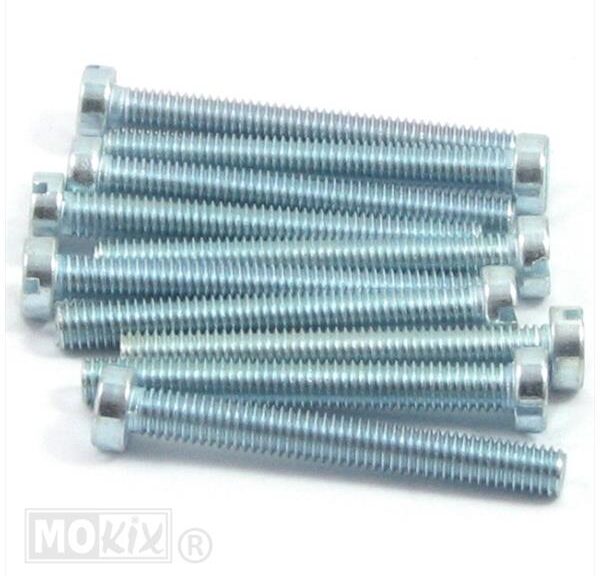 Metaalschroef M6x50 Elvz 10stuks - Bollard