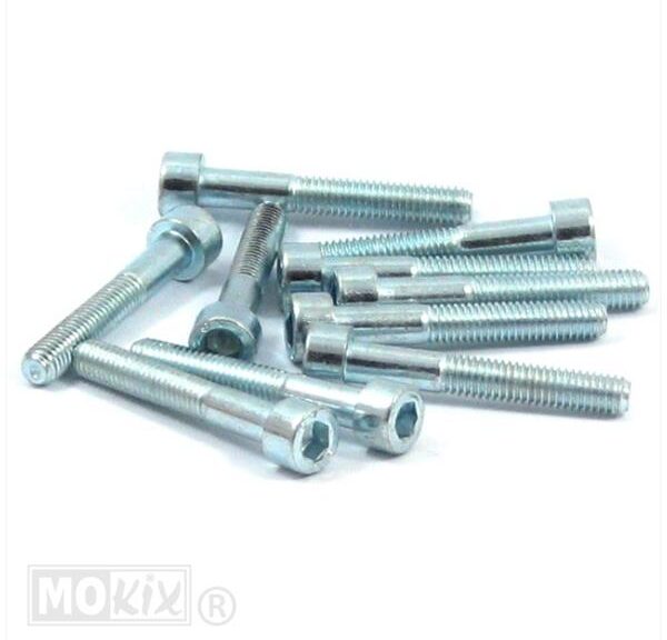Inbus-Bout M 6x 40 Elvz 10stuks - Bollard