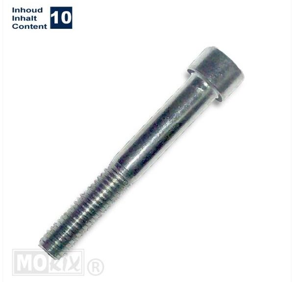 Inbus-Bout M10x70 Elvz 10stuks - Bollard