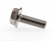 Uitlaat Bout Minarelli Scooter RVS/Inox 6x18 (1) - Bollard