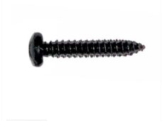 Parkerset 5.5x30 Zwart      10st - Bollard